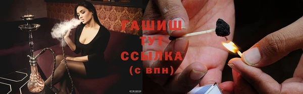 apvp Рославль