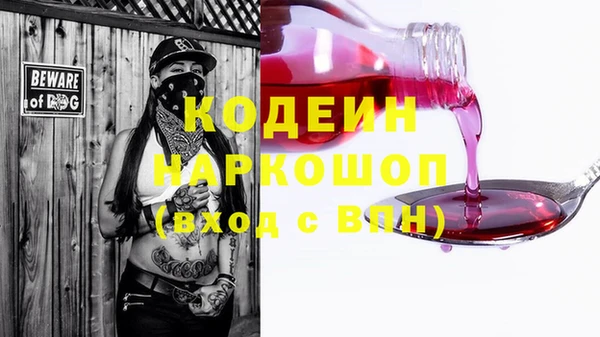 гашик Абаза